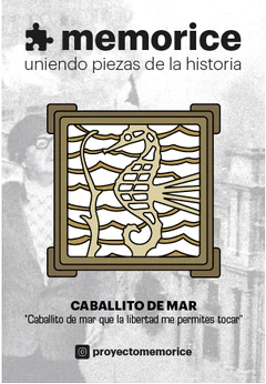 PIN CABALLITO DE MAR