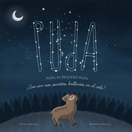 PEQUEÑO PUDU ¿QUÉ SON ESOS PUNTITOS BRILLANTES EN EL CIELO?, EL
