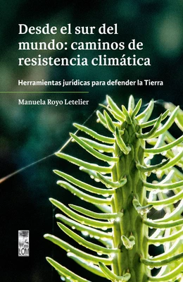 DESDE EL SUR DEL MUNDO: CAMINOS DE RESISTENCIA