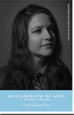 AVISTAMIENTO DE AVES