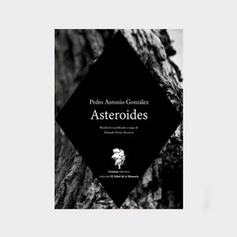 ASTEROIDES
