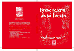 BREVE RESEÑA DE MI LOCURA