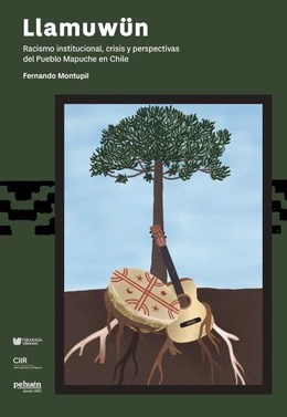 LLAMUWUN. Racismo institucional, crisis y perspectivas del Pueblo Mapuche en Chile