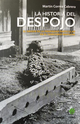 HISTORIA DEL DESPOJO, LA. EL ORIGEN DE LA PROPIEDAD PARTICULAR EN EL TERRITORIO MAPUCHE