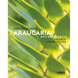 ARAUCARIA EXTRAORDINARIA