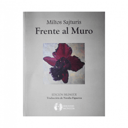 FRENTE AL MURO