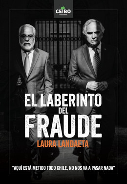 EL LABERINTO DEL FRAUDE