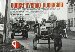 CONSTRUYENDO POBLACION. HALLAZGOS Y TESTIMONIOS DE LA POBLACION BOCA SUR
