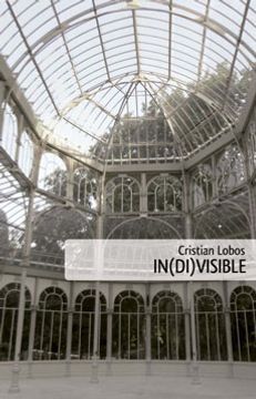IN(DI)VISIBLE