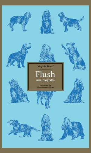 FLUSH, UNA BIOGRAFIA