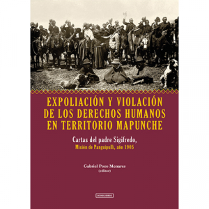 EXPOLIACION Y VIOLACION DE LOS DERECHOS HUMANOS EN TERRITORIO MAPUNCHE