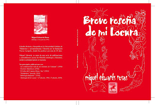 BREVE RESEÑA DE MI LOCURA