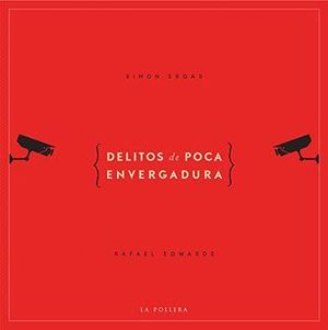 DELITOS DE POCA ENVERGADURA
