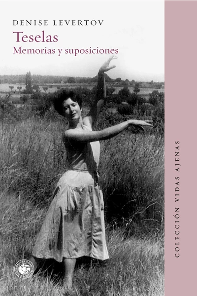 TESELAS. Memorias y suposiciones