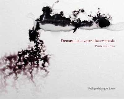 DEMASIADA LUZ PARA HACER POESIA