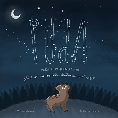 PEQUEÑO PUDU ¿QUÉ SON ESOS PUNTITOS BRILLANTES EN EL CIELO?, EL