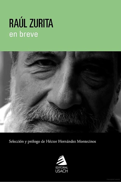 RAUL ZURITA EN BREVE