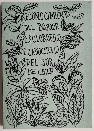 RECONOCIMIENTO DEL BOSQUE ESCLOROFILO Y CADUCIFOLIO DEL SUR