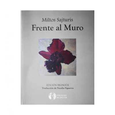 FRENTE AL MURO