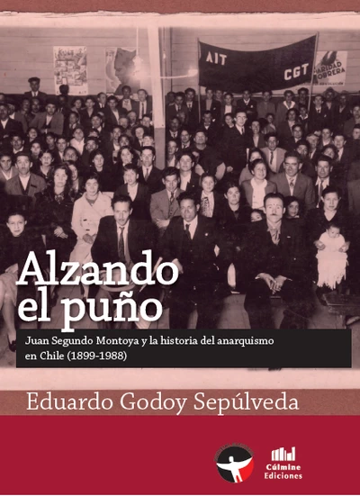 ALZANDO EL PUÑO