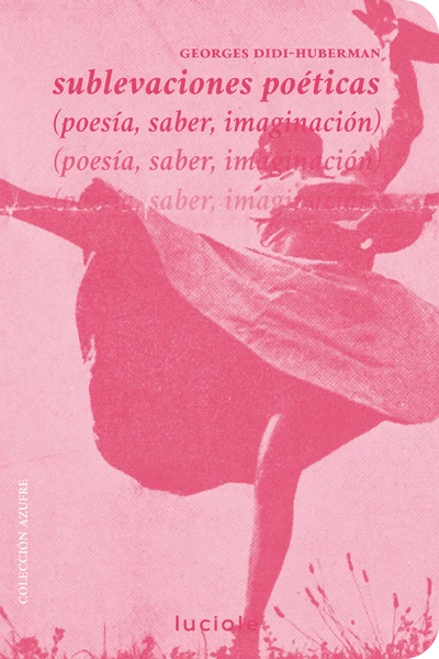 SUBLEVACIONES POETICAS (poesía, saber, imaginación)