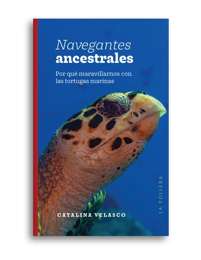 NAVEGANTES ANCESTRALES
