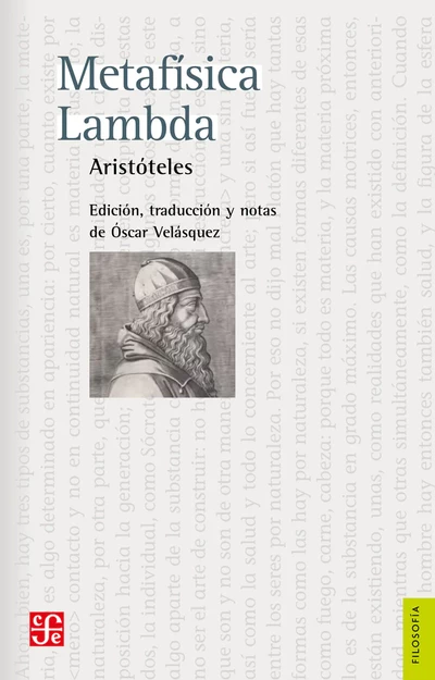 METAFISICA LAMBADA