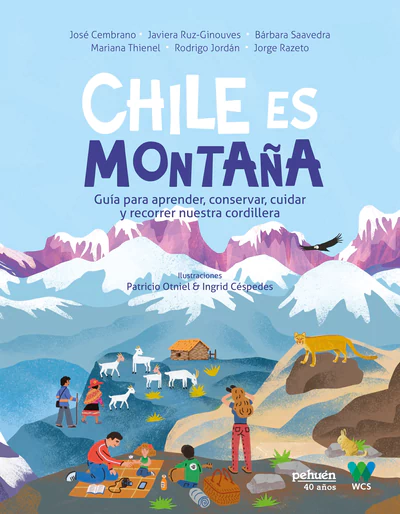 CHILE ES MONTAÑA