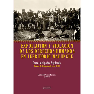 EXPOLIACION Y VIOLACION DE LOS DERECHOS HUMANOS EN TERRITORIO MAPUNCHE