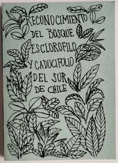 RECONOCIMIENTO DEL BOSQUE ESCLOROFILO Y CADUCIFOLIO DEL SUR