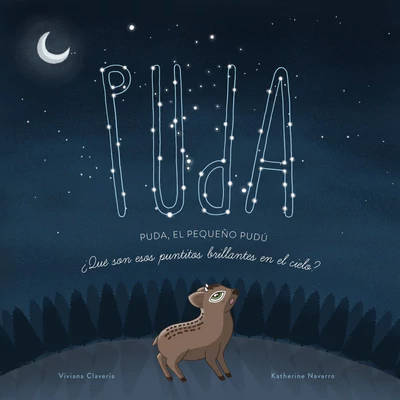 PEQUEÑO PUDU ¿QUÉ SON ESOS PUNTITOS BRILLANTES EN EL CIELO?, EL