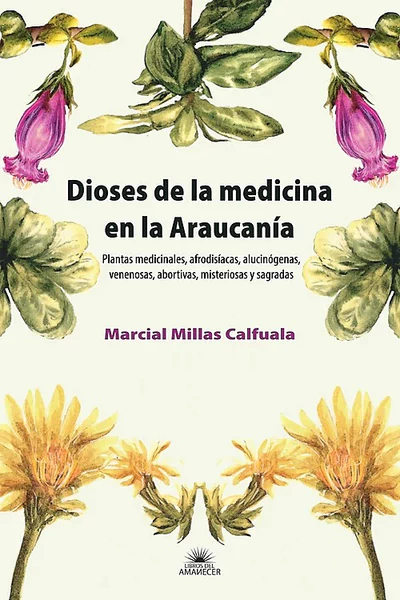 DIOSES DE LA MEDICINA EN LA ARAUCANIA.