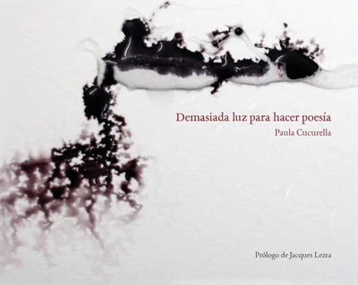 DEMASIADA LUZ PARA HACER POESIA