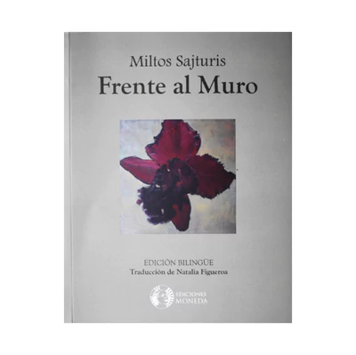 FRENTE AL MURO