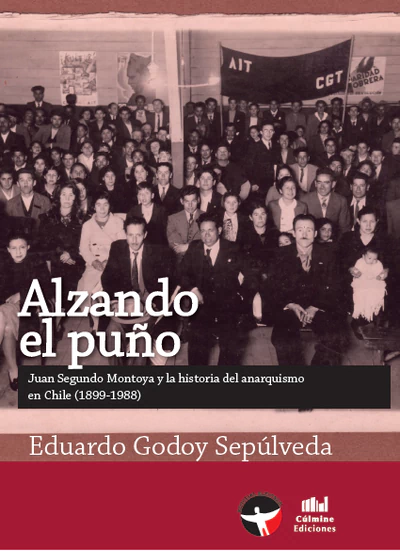 ALZANDO EL PUÑO