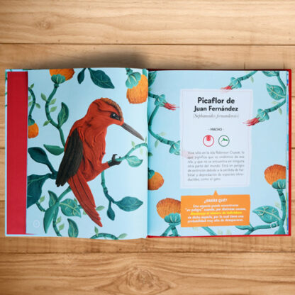 MI PRIMER LIBRO DE FLORA Y FAUNA - vista alternativa