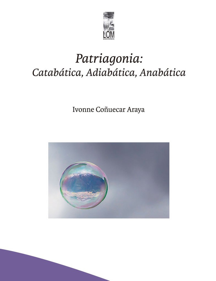 PATRIAGONIA: CATABATICA, ADIABATICA, ANABATICA - Patriagonia_1024x1024.jpg