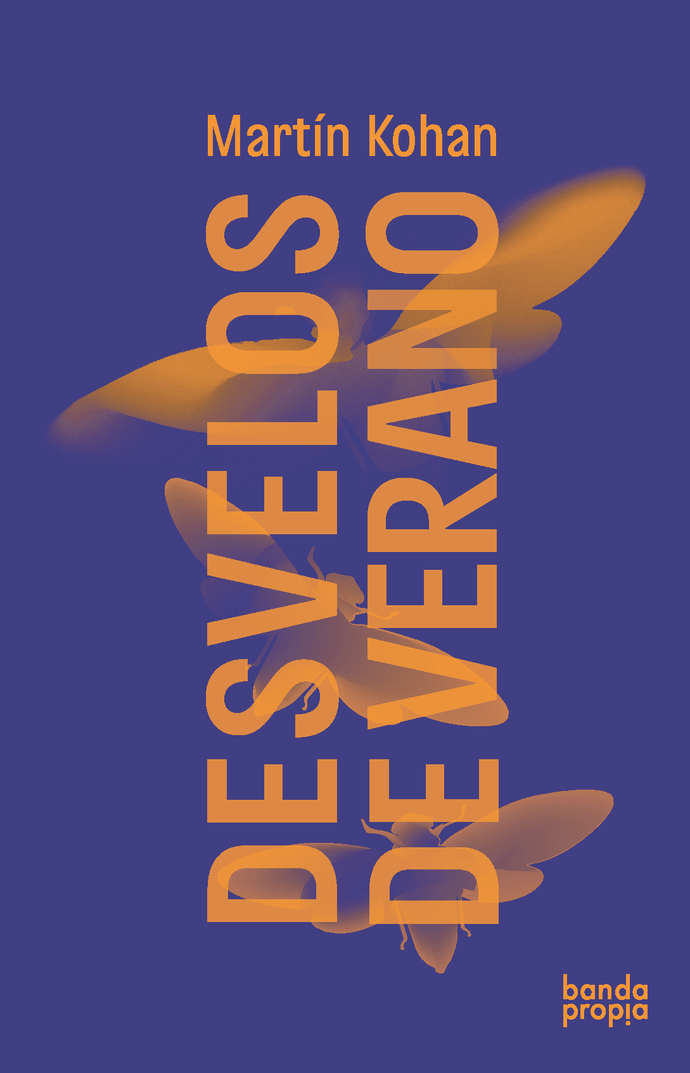 DESVELOS DE VERANO - Desvelos de verano.png