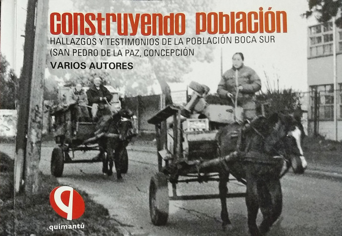 CONSTRUYENDO POBLACION. HALLAZGOS Y TESTIMONIOS DE LA POBLACION BOCA SUR - 22732848601.jpg