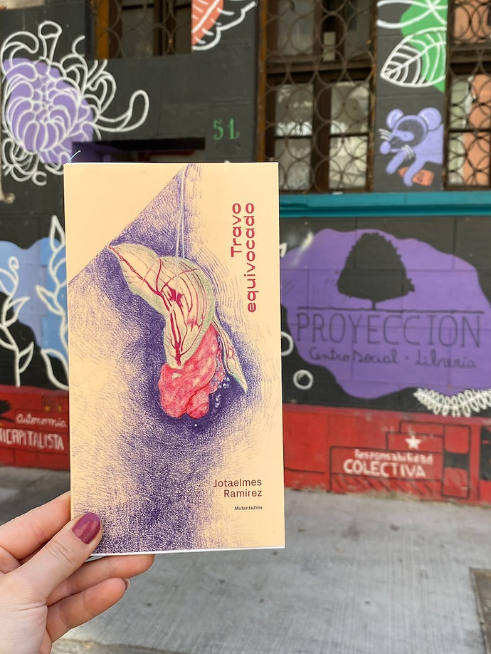 TRAVO EQUIVOCADO - Captura de pantalla 2025-12-03 a la(s) 3.57.50 p.m..png.jpg