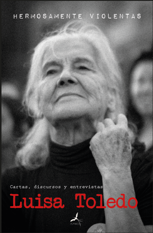 HERMOSAMENTE VIOLENTAS - portada hv.png