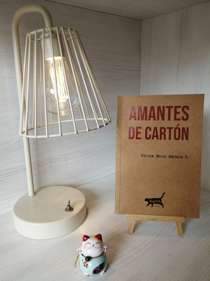 AMANTES DE CARTON - tapa amantes de carton.jpg