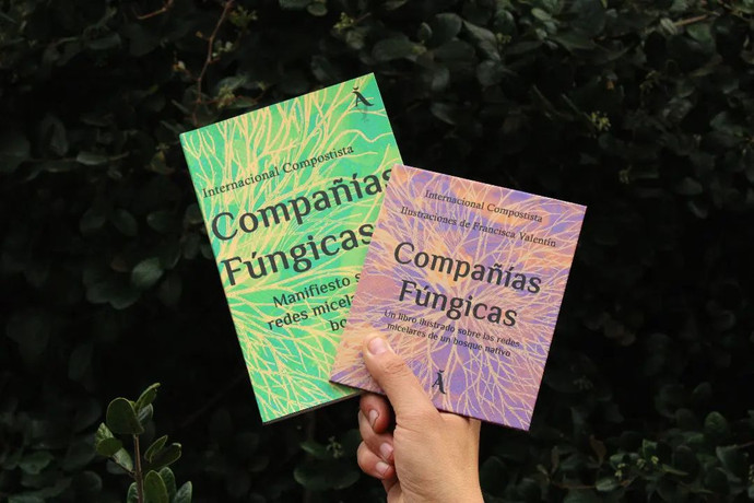 COMPAÑIAS FUNGICAS. MANIFIESTO SOBRE LAS REDES MICELARES DE UN BOSQUE NATIVO - 352380002_1212414642783246_7209157191197055528_n.jpg