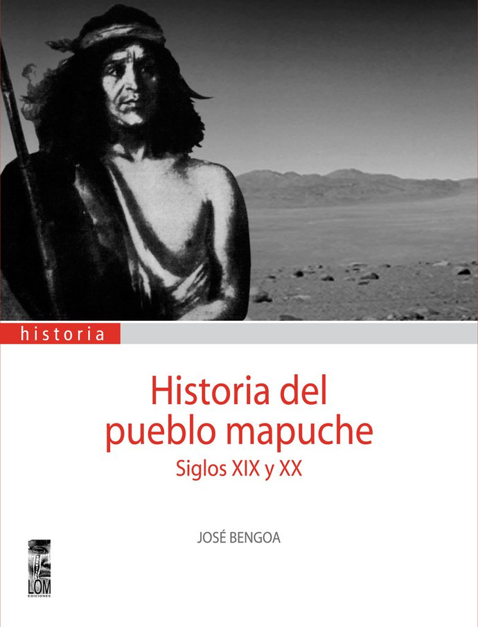 HISTORIA DEL PUEBLO MAPUCHE. SIGLOS XIX Y XX - Historiadelpueblomapuche2_edicion_1024x1024.jpg