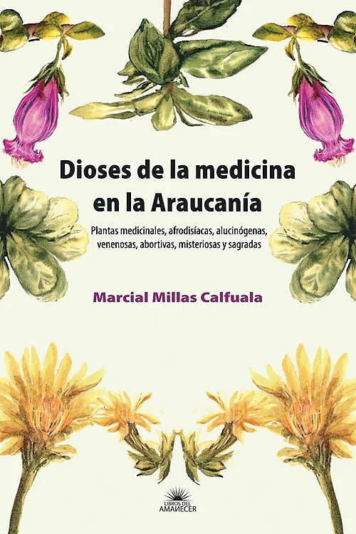DIOSES DE LA MEDICINA EN LA ARAUCANIA. - f9ce81_1f72a41fdaab4a76b56d175dbfababd7~mv2.jpg