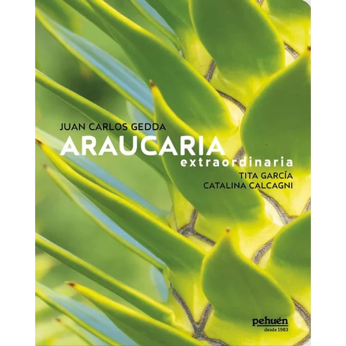 ARAUCARIA EXTRAORDINARIA - ARAUCARIA.webp