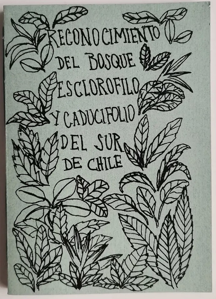 RECONOCIMIENTO DEL BOSQUE ESCLOROFILO Y CADUCIFOLIO DEL SUR - Captura de pantalla 2026-01-07 a la(s) 5.34.27 p.m..png.jpg