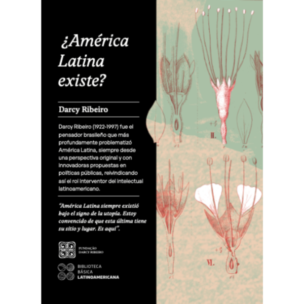 AMERICA LATINA EXISTE - 9789560968524-600x600.png