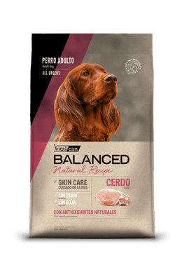 BALANCED PERRO ADULTO NATURAL RECIPE CERDO 15 KG