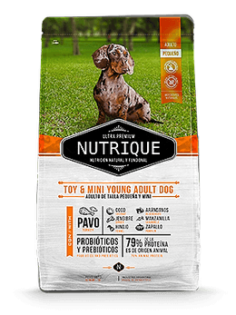 NUTRIQUE TOY & MINI ADULTO 7,5 KG